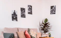 Silwy® Flex Magnethaken Inkl. Metall-Nano-Gel-Pads 5 Cm 8-tlg. Blau -Haus & Outdoor 336857 2526568