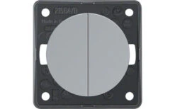 Berker Integro Serientaster 2 Schließer Mit Gemeinsamer Eingangsklemme Polarweiß Glänzend -Haus & Outdoor 494973 3342891 1