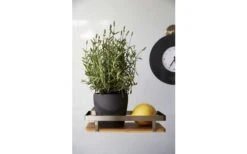 Wenko Universalregal Premium Wandregal -Haus & Outdoor 516434 3504149