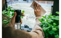 MikiGREEN Öko.Schwamm.Tücher 2er-Pack 9 MikiGREEN Öko.Schwamm.Tücher 2er-Pack -Haus & Outdoor 574939 3927991