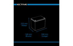 Ective LC 50L BT 12 V LiFePO4 Lithium Versorgungsbatterie 50 Ah -Haus & Outdoor 575155 3932379