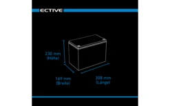 Ective LC 50L BT 12 V LiFePO4 Lithium Versorgungsbatterie 50 Ah -Haus & Outdoor 575163 3932415