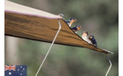 Gordigear Dachzelt Plus Für 4 Personen Mit Staufläche 180 X 320 Cm Grün -Haus & Outdoor 585547 3986315