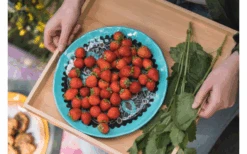 Rebel Outdoor Dessertteller 22 Cm Blau