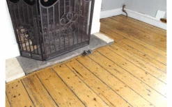 Swissinno Connect Super Cat Fangalarm Fangmelder Mit Bluetooth -Haus & Outdoor 729803 5025846