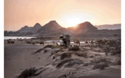 Gordigear Dachzelt Für 2 Personen Mit Staufläche 140 X 240 Cm Grün 15 Gordigear Dachzelt Für 2 Personen Mit Staufläche 140 X 240 Cm Grün -Haus & Outdoor 737321 4968308